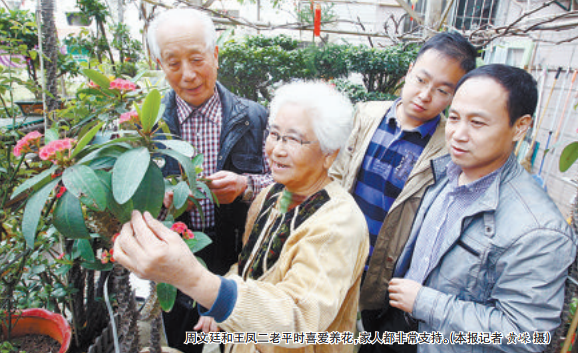 廈門(mén)老夫妻巧手打扮 小區(qū)空地變樂(lè)園